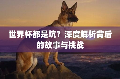 世界杯都是坑？深度解析背后的故事与挑战