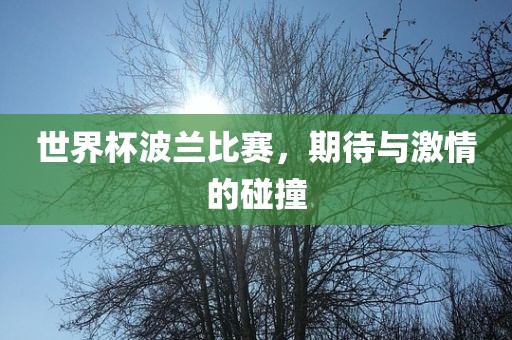 世界杯波兰比赛，期待与激情的碰撞