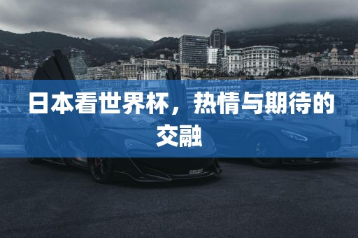 日本看世界杯，热情与期待的交融