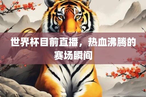 世界杯目前直播,热血沸腾的赛场瞬间