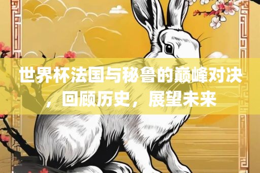 世界杯法国与秘鲁的巅峰对决，回顾历史，展望未来