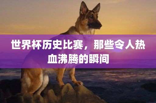 世界杯历史比赛，那些令人热血沸腾的瞬间