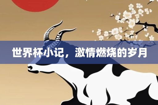 世界杯小记，激情燃烧的岁月