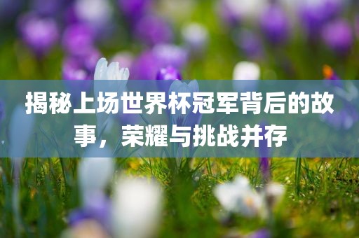 揭秘上场世界杯冠军背后的故事，荣耀与挑战并存