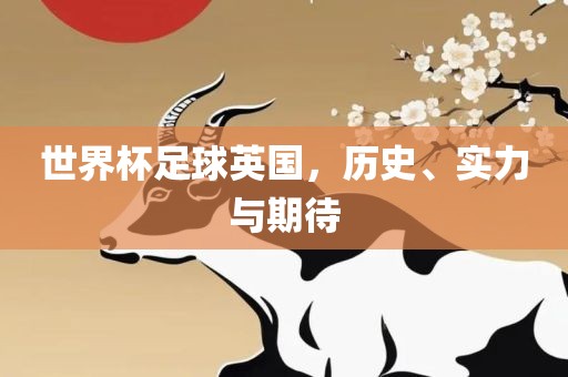 世界杯足球英国，历史、实力与期待
