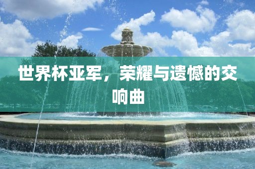 世界杯亚军，荣耀与遗憾的交响曲